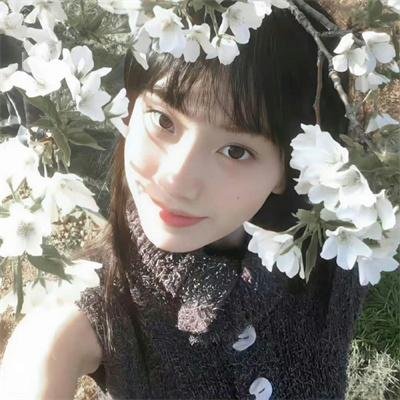 飞鸟集2021